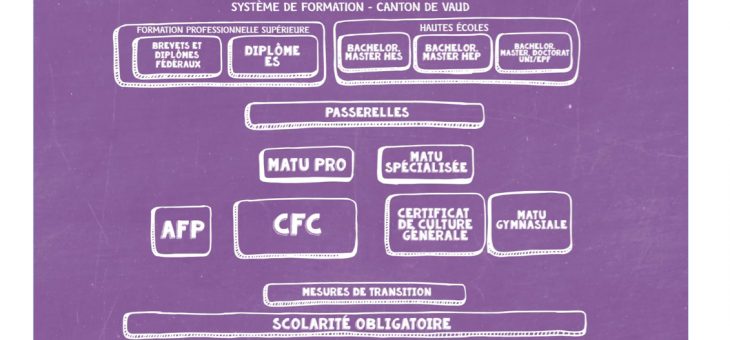 Orientation scolaire et professionnelle (Canton de Vaud)